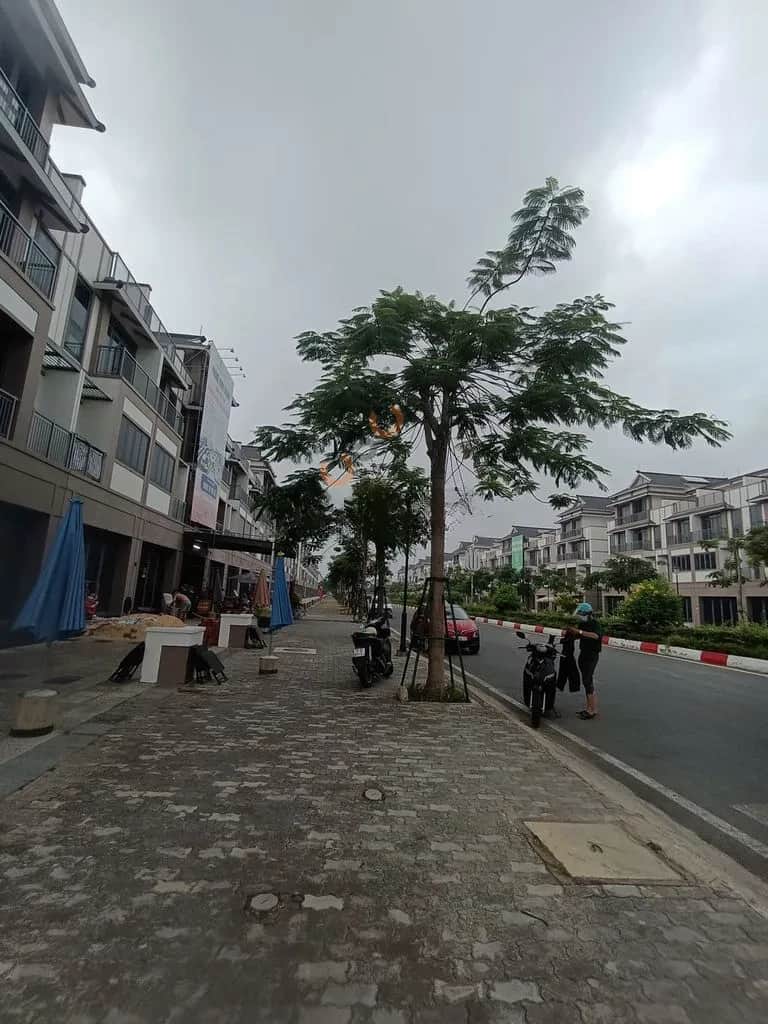 Bán nhà mặt tiền Đường 3 Tháng 2 Huyện Đức Hòa, Tay Ninh – 4 phòng ngủ, giá 13 tỷ Bán nhà mặt tiền Đường 3 Tháng 2 Huyện Đức Hòa, Tay Ninh – 4 phòng ngủ, giá 13 tỷ