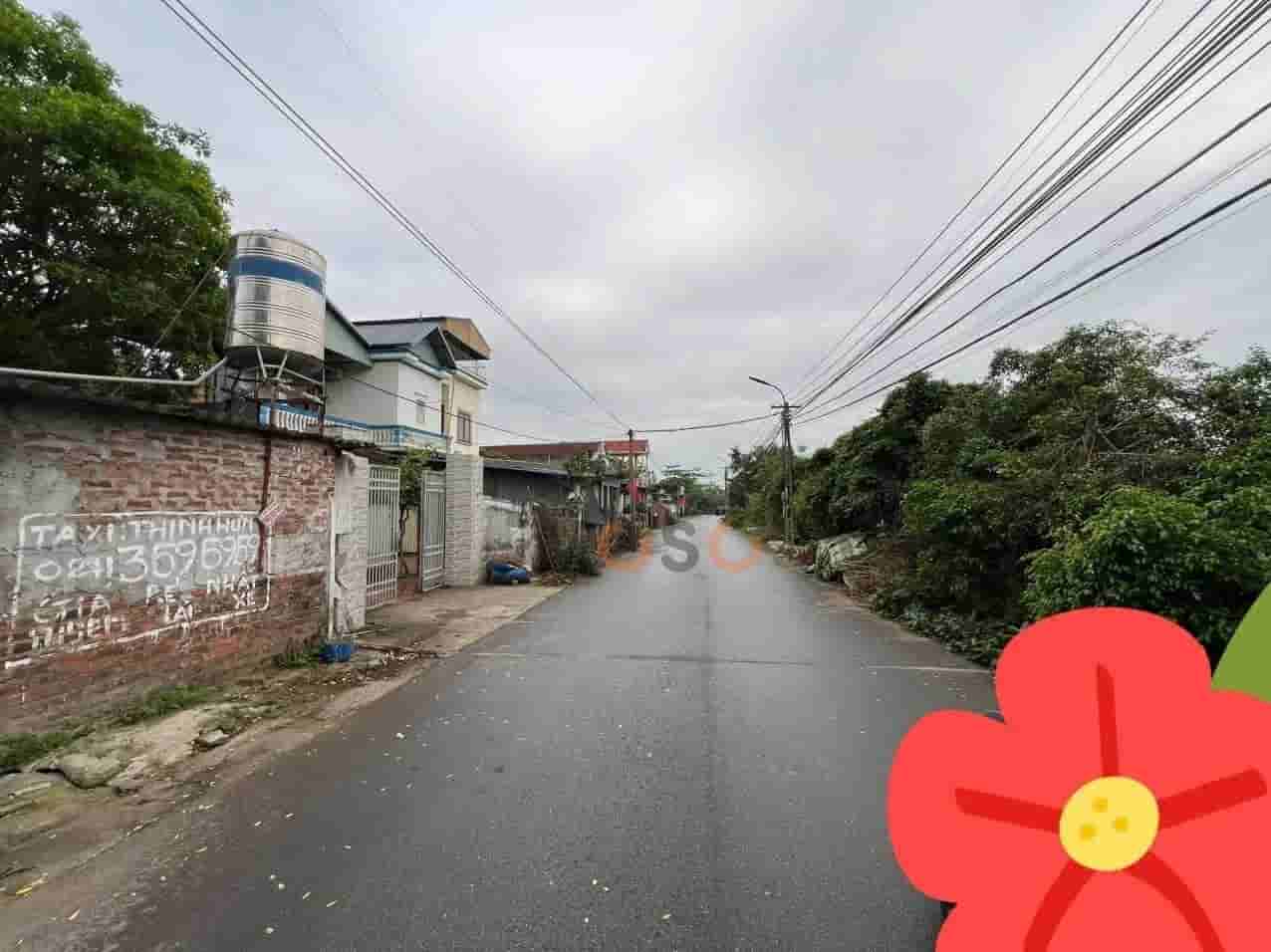 Image Image