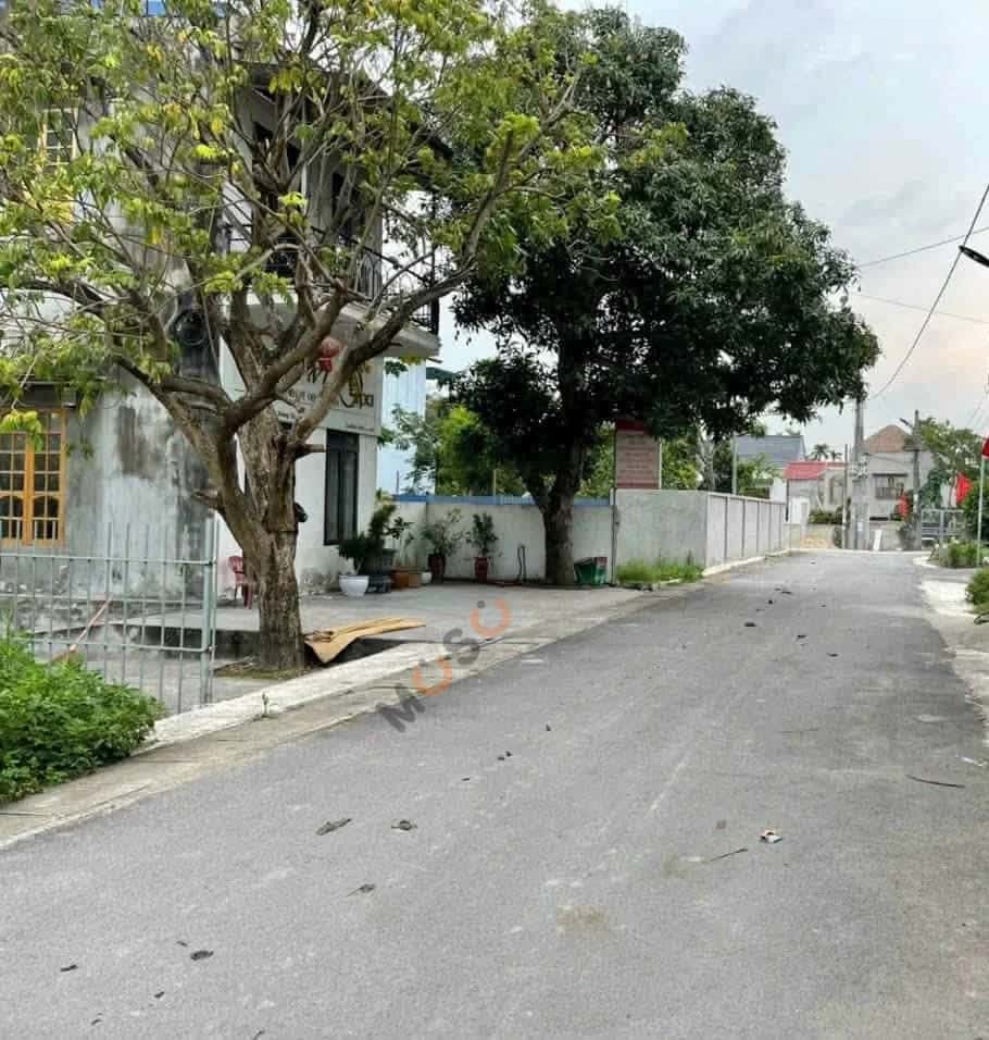 Bán đất Hoàng Xá Huyện An Lão, TP. Hải Phòng – giá 2 tỷ — Hình 3 Bán đất Hoàng Xá Huyện An Lão, TP. Hải Phòng – giá 2 tỷ — Hình 3
