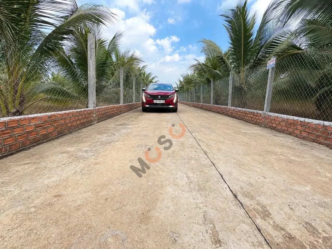 Bán đất Hẻm 76, Tỉnh lộ 8 Huyện Cư M'gar, Đắk Lắk – giá 1.3 tỷ — Hình 2 Bán đất Hẻm 76, Tỉnh lộ 8 Huyện Cư M'gar, Đắk Lắk – giá 1.3 tỷ — Hình 2