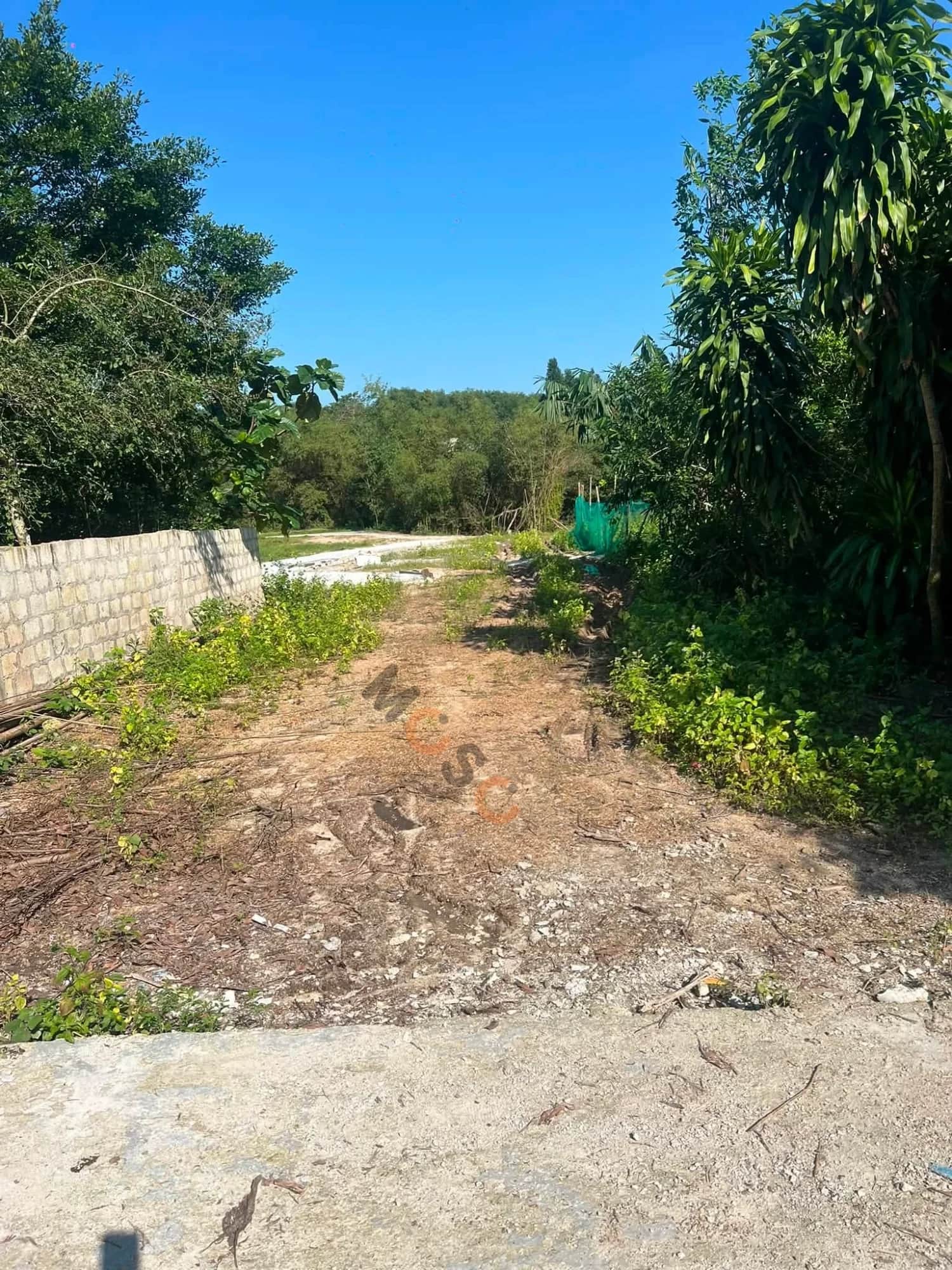 Bán đất K50 Thiên Thai Quận Thuận Hóa, TP. Huế – giá 940 triệu Bán đất K50 Thiên Thai Quận Thuận Hóa, TP. Huế – giá 940 triệu