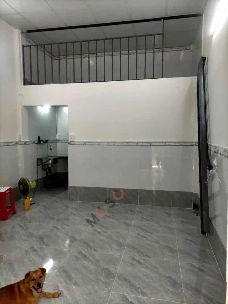 Cho thuê phòng trọ Đường Trần Quốc Tuấn Gò Vấp, TP.HCM – giá 5 triệu Cho thuê phòng trọ Đường Trần Quốc Tuấn Gò Vấp, TP.HCM – giá 5 triệu