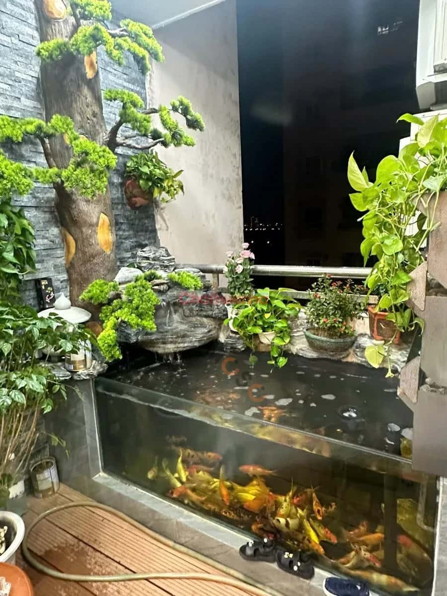 Cho thuê BĐS khác Trần Hữu Dực Nam Từ Liêm, Hà Nội – giá 18 triệu — Hình 3 Cho thuê BĐS khác Trần Hữu Dực Nam Từ Liêm, Hà Nội – giá 18 triệu — Hình 3