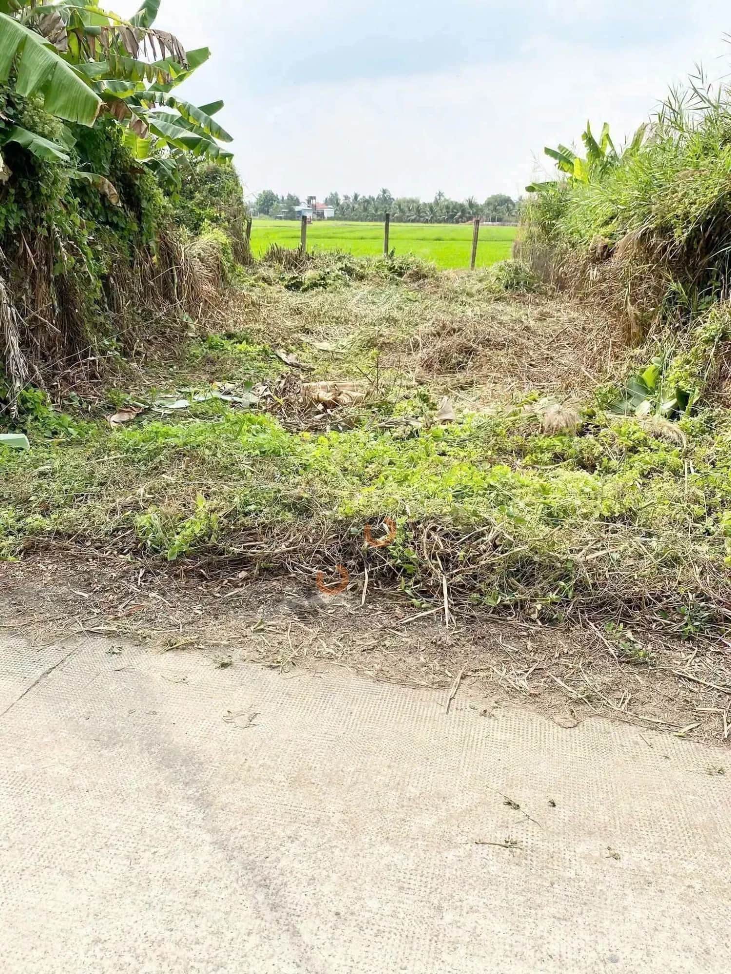 Bán đất đường Kênh 5 Tâm Thành phố Tân An, Long An – giá 500 triệu Bán đất đường Kênh 5 Tâm Thành phố Tân An, Long An – giá 500 triệu