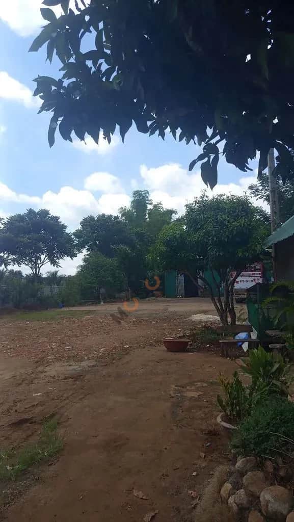 Cho thuê đất Trần Quý Cáp Thành phố Buôn Ma Thuột, Đắk Lắk – giá 10 triệu Cho thuê đất Trần Quý Cáp Thành phố Buôn Ma Thuột, Đắk Lắk – giá 10 triệu