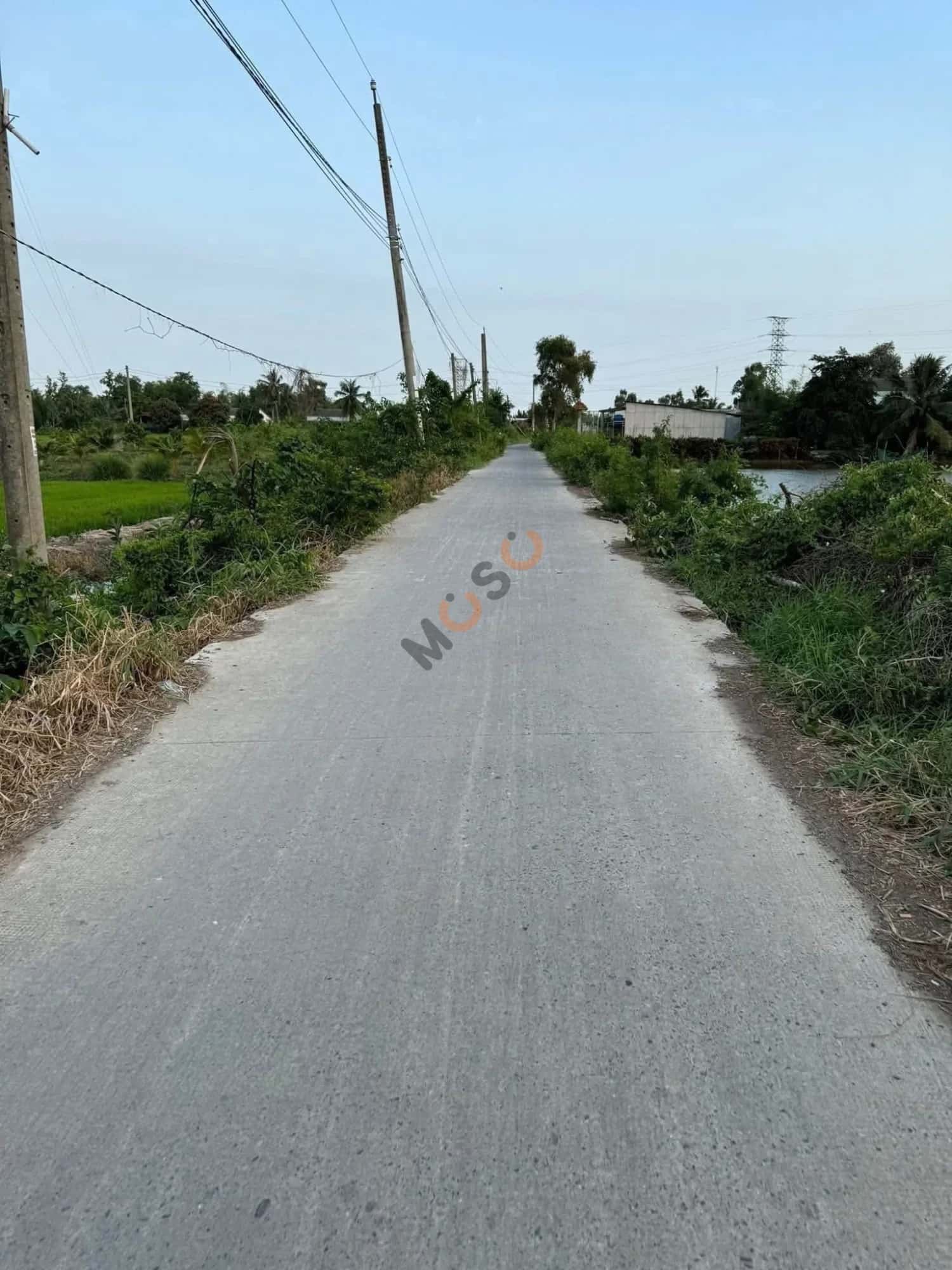 Bán đất Ấp 4 Huyện Thủ Thừa, Long An – giá 600 triệu — Hình 3 Bán đất Ấp 4 Huyện Thủ Thừa, Long An – giá 600 triệu — Hình 3