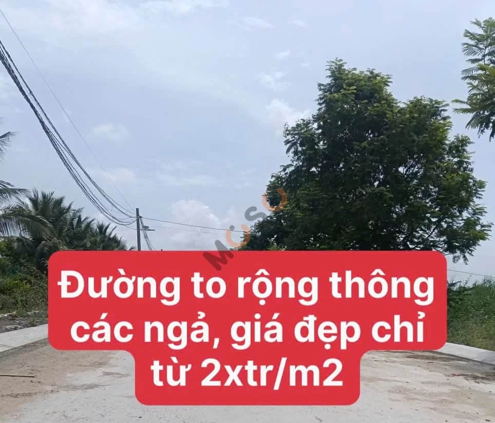 Bán đất 824 Huyện Đức Hòa, Long An – giá 4.9 tỷ Bán đất 824 Huyện Đức Hòa, Long An – giá 4.9 tỷ