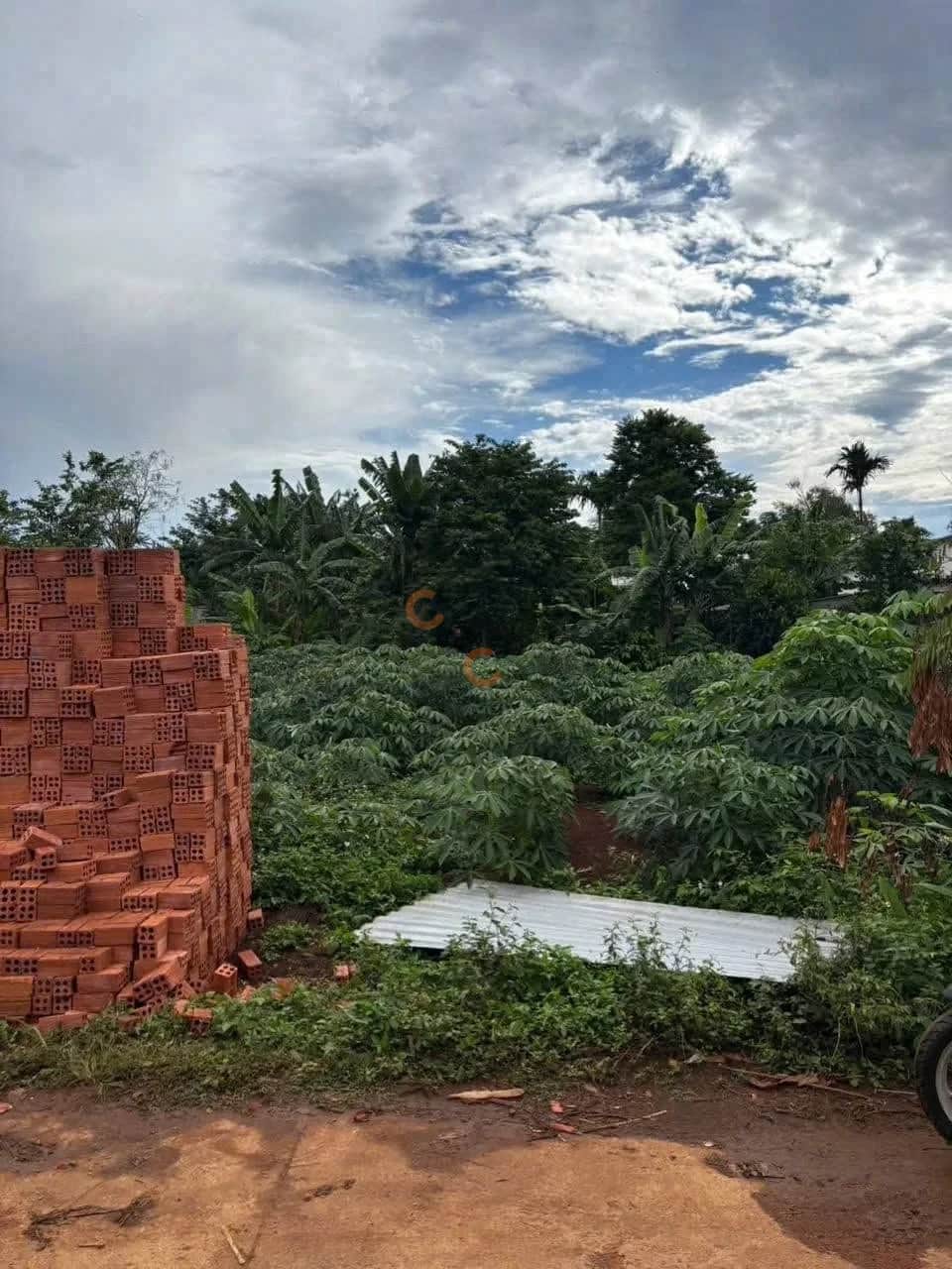 Bán đất Buôn Kroa B Huyện Cư M'gar, Đắk Lắk – giá 900 triệu Bán đất Buôn Kroa B Huyện Cư M'gar, Đắk Lắk – giá 900 triệu