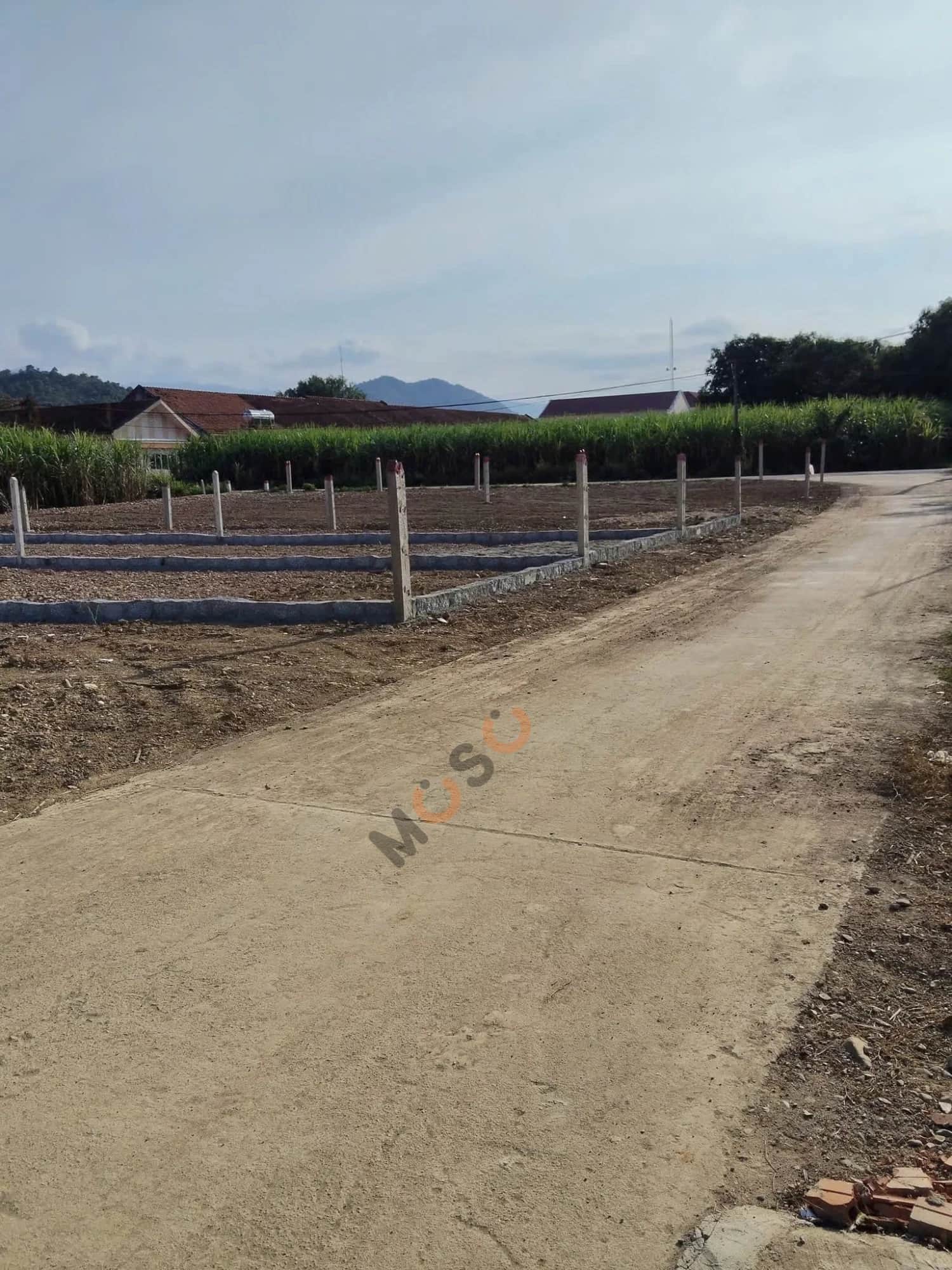 Bán đất thôn Đồng Trăn 1 Huyện Diên Khánh, Khánh Hòa – giá 650 triệu Bán đất thôn Đồng Trăn 1 Huyện Diên Khánh, Khánh Hòa – giá 650 triệu