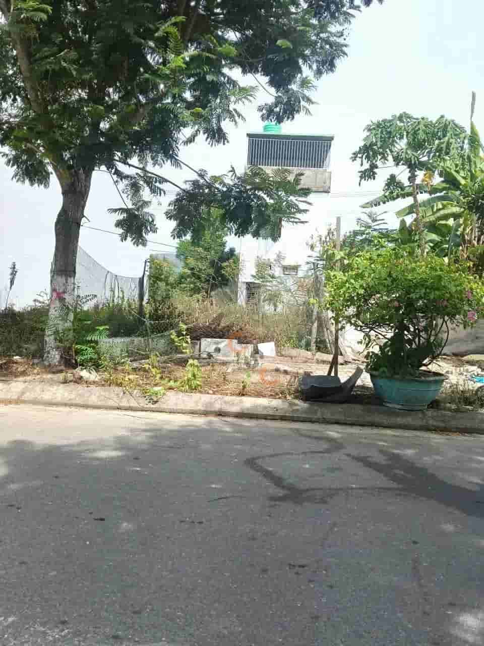 Image Image