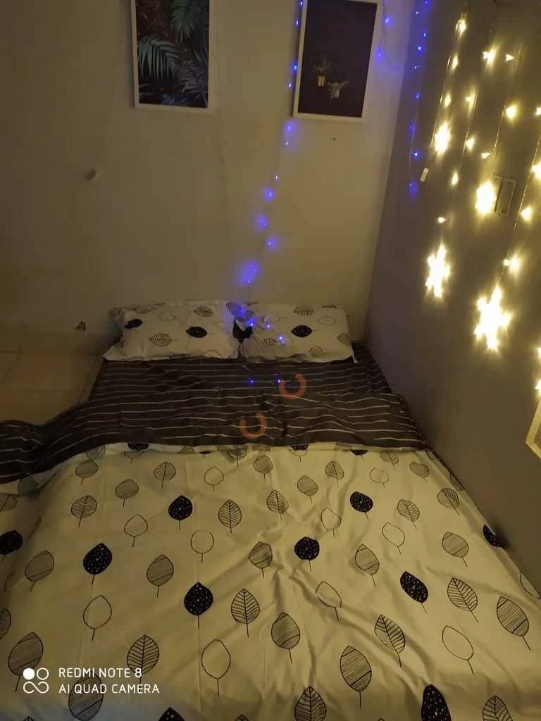 Cho thuê căn hộ chung cư Đường Nguyễn Tri Phương Quận 5, TP.HCM – giá 1.3 triệu Cho thuê căn hộ chung cư Đường Nguyễn Tri Phương Quận 5, TP.HCM – giá 1.3 triệu