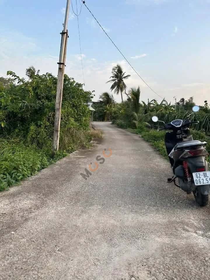 Bán đất Ấp Long Bình Huyện Châu Thành, Long An – giá 550 triệu — Hình 3 Bán đất Ấp Long Bình Huyện Châu Thành, Long An – giá 550 triệu — Hình 3