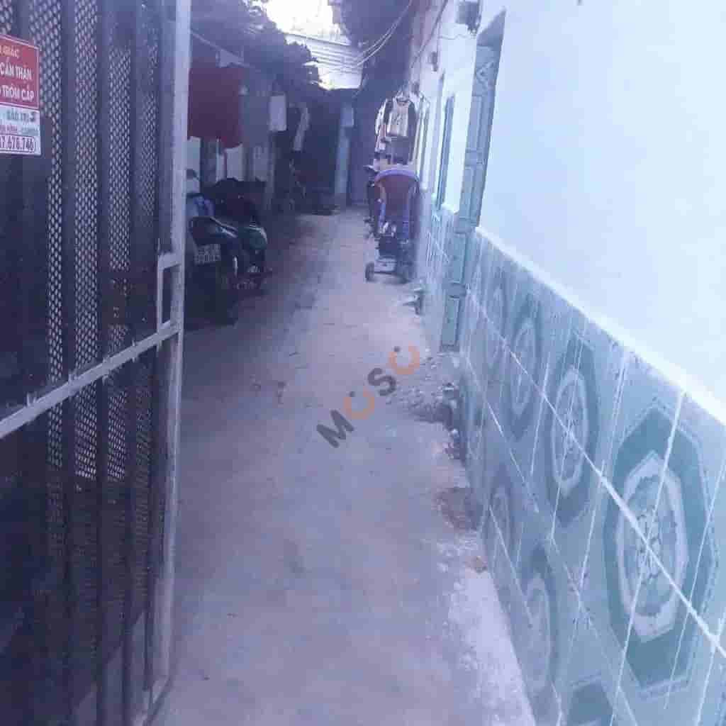 Image Image