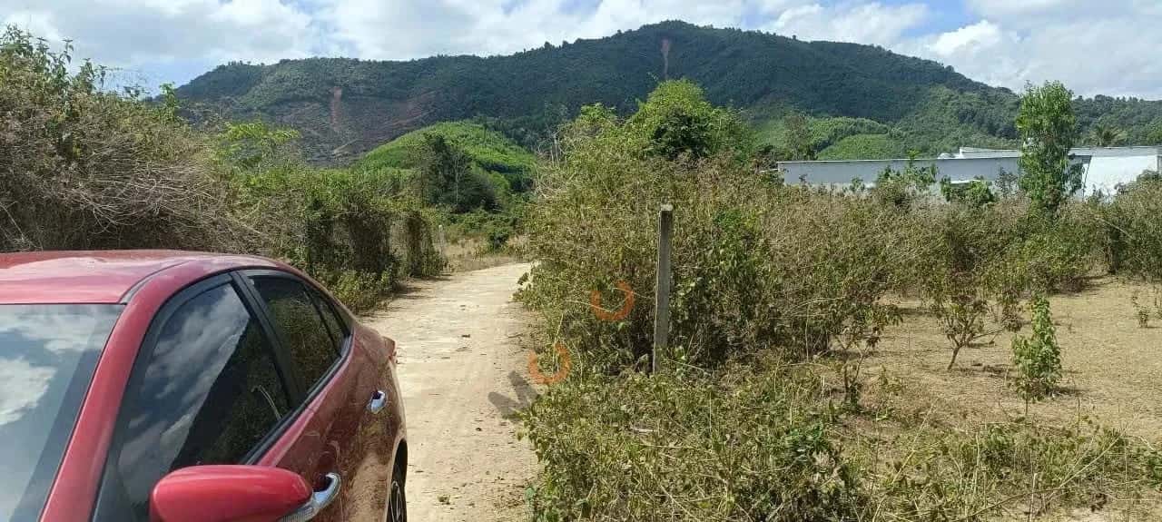 Bán đất thôn Nước Nhĩ Huyện Khánh Vĩnh, Khánh Hòa – giá 450 triệu — Hình 2 Bán đất thôn Nước Nhĩ Huyện Khánh Vĩnh, Khánh Hòa – giá 450 triệu — Hình 2