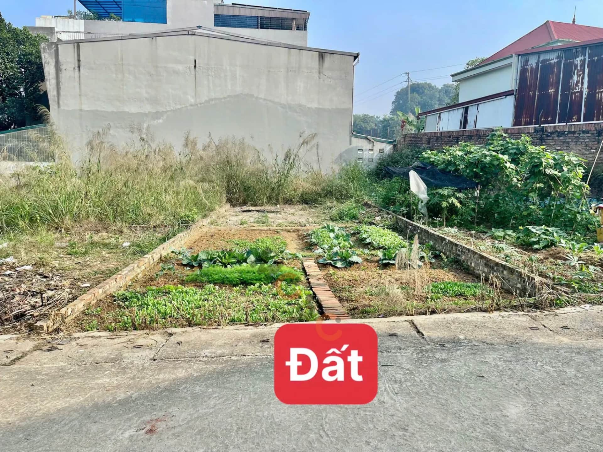 Bán đất Ngách 11, Lê Thanh Nghị Thành phố Vĩnh Yên, Vĩnh Phúc – giá 2.3 tỷ Bán đất Ngách 11, Lê Thanh Nghị Thành phố Vĩnh Yên, Vĩnh Phúc – giá 2.3 tỷ