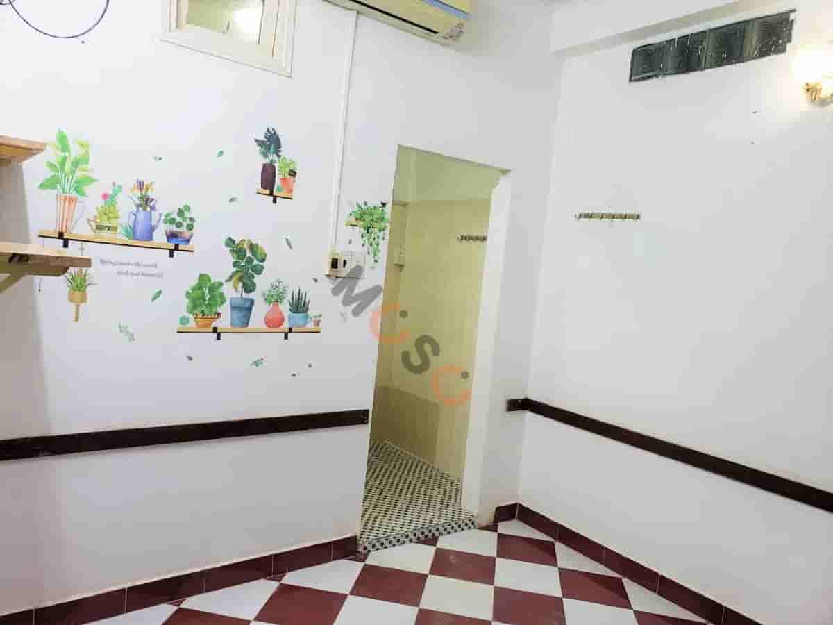 Image Image