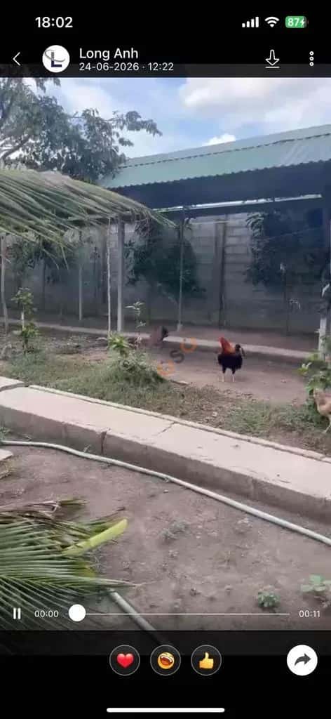 Cho thuê đất Đường tỉnh 833 Huyện Tân Trụ, Tây Ninh – giá 10 triệu — Hình 2 Cho thuê đất Đường tỉnh 833 Huyện Tân Trụ, Tây Ninh – giá 10 triệu — Hình 2