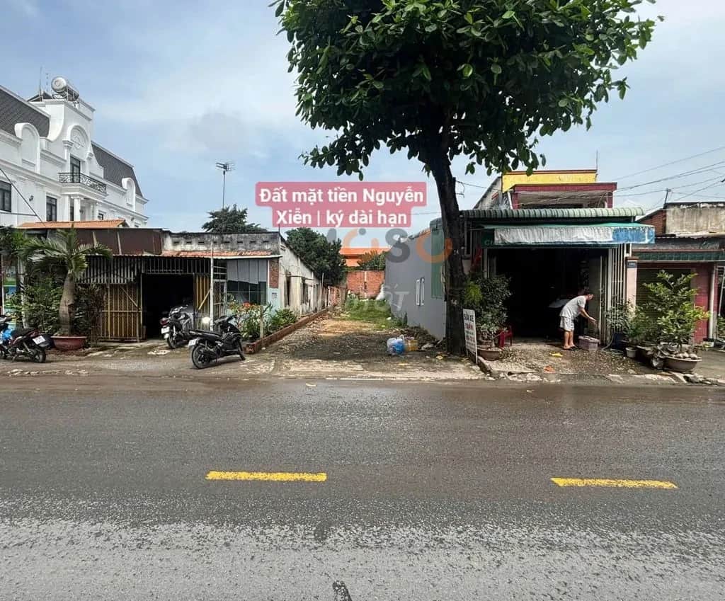 Cho thuê đất Nguyễn Xiển Quận 9 cũ, TP.HCM – giá 5 triệu Cho thuê đất Nguyễn Xiển Quận 9 cũ, TP.HCM – giá 5 triệu