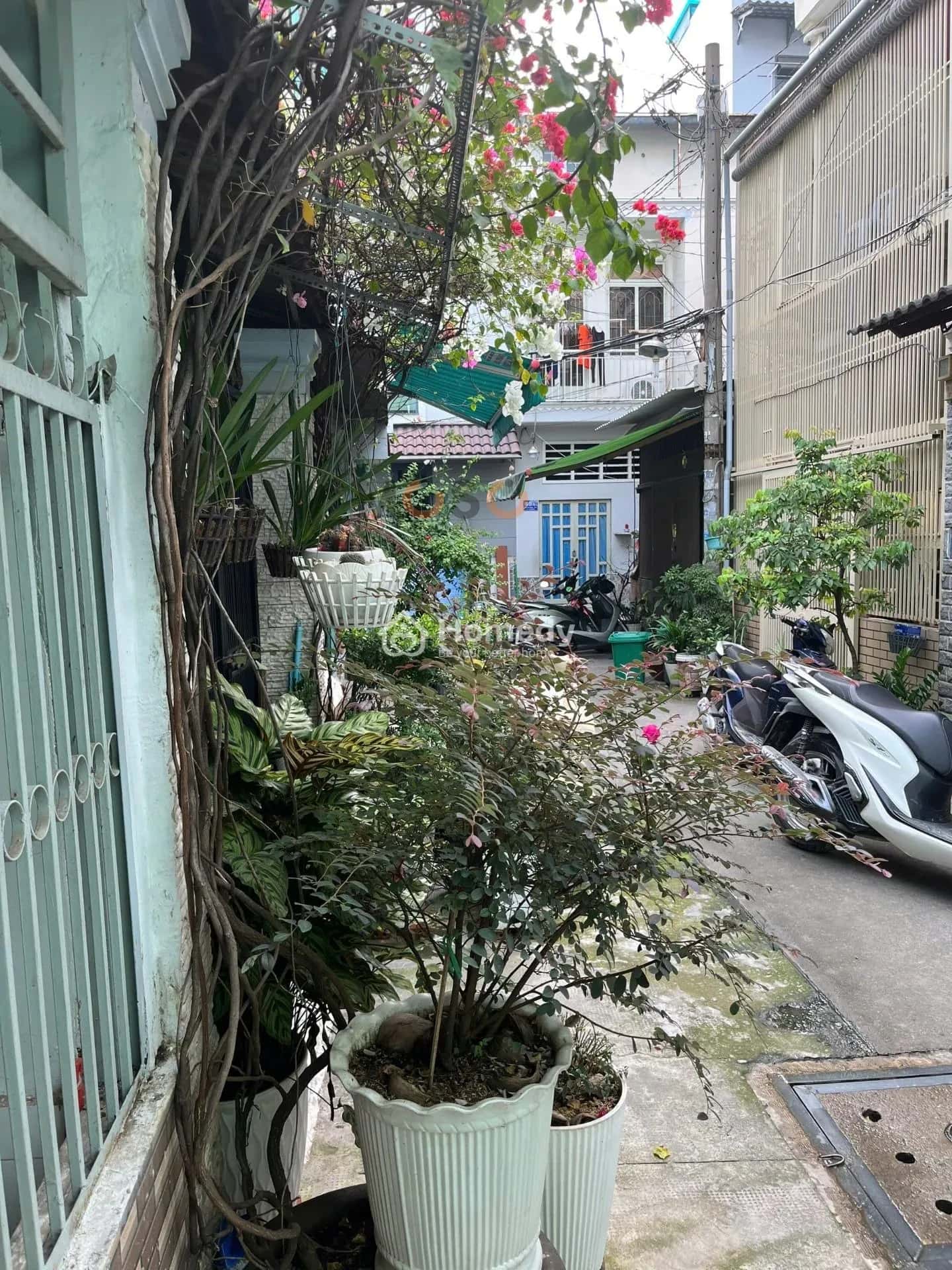 Cho thuê nhà hẻm Lạc Long Quân Quận Tân Bình, Ho Chi Minh – 2 phòng ngủ, giá 6.5 triệu — Hình 2 Cho thuê nhà hẻm Lạc Long Quân Quận Tân Bình, Ho Chi Minh – 2 phòng ngủ, giá 6.5 triệu — Hình 2