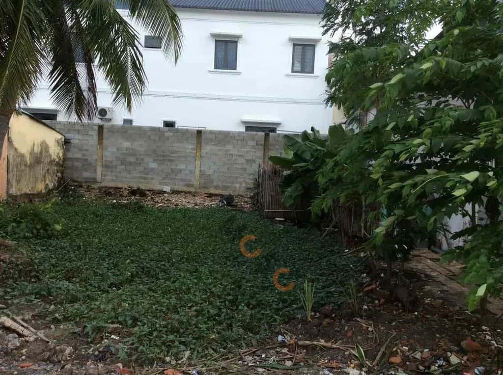 Bán đất Rừng Sác Huyện Cần Giờ, TP.HCM – giá 2.5 tỷ — Hình 2 Bán đất Rừng Sác Huyện Cần Giờ, TP.HCM – giá 2.5 tỷ — Hình 2
