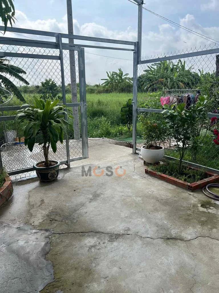 Cho thuê nhà hẻm Đường Song Hành Quốc lộ 50 Huyện Bình Chánh, TP.HCM – giá 3.5 triệu — Hình 2 Cho thuê nhà hẻm Đường Song Hành Quốc lộ 50 Huyện Bình Chánh, TP.HCM – giá 3.5 triệu — Hình 2