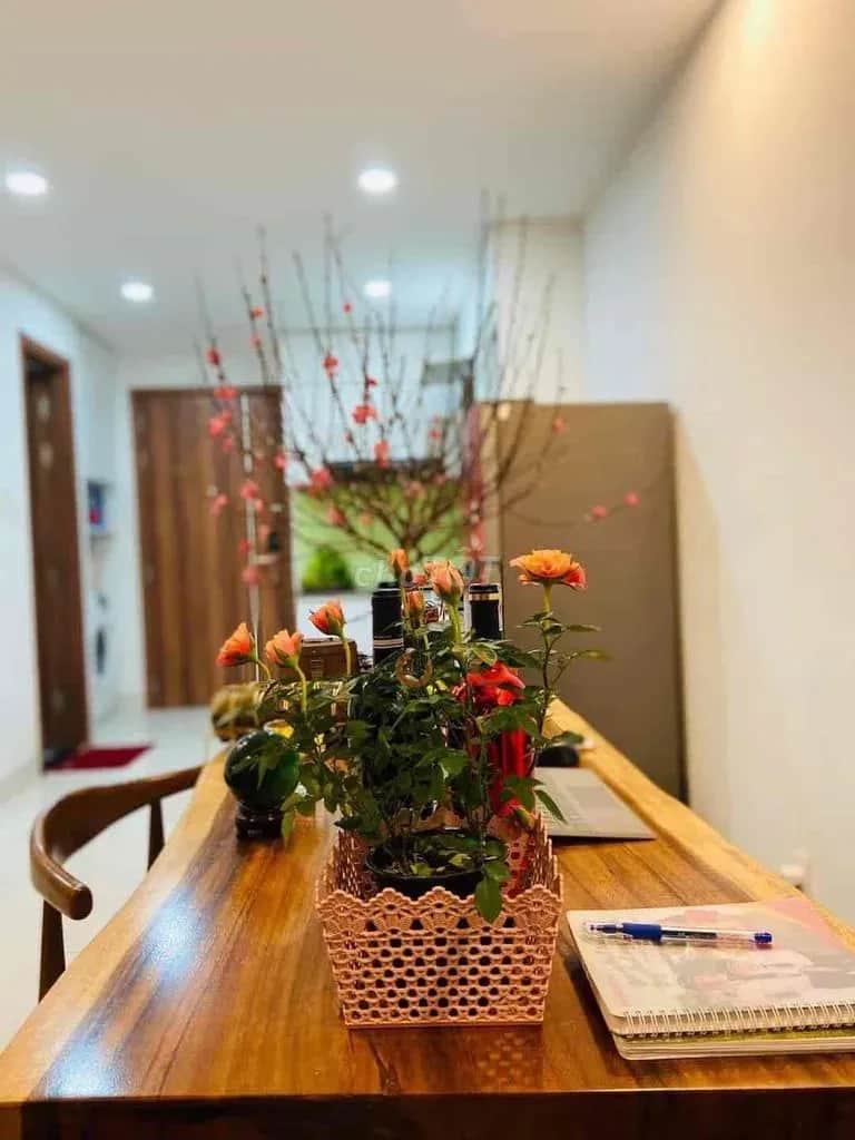 Cho thuê căn hộ chung cư Quốc lộ 1K Thành phố Dĩ An, TP.HCM – 1 phòng ngủ, giá 5 triệu Cho thuê căn hộ chung cư Quốc lộ 1K Thành phố Dĩ An, TP.HCM – 1 phòng ngủ, giá 5 triệu