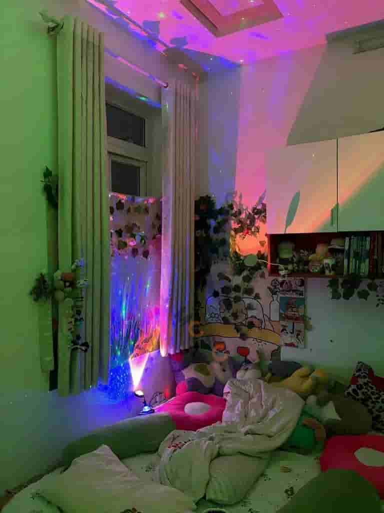 Image Image