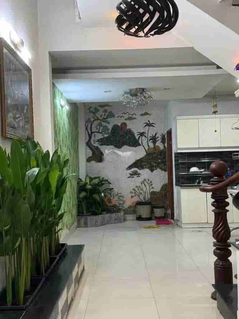 Image Image