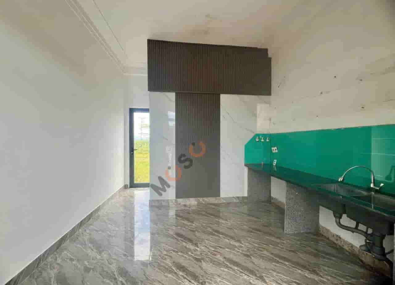 Image Image