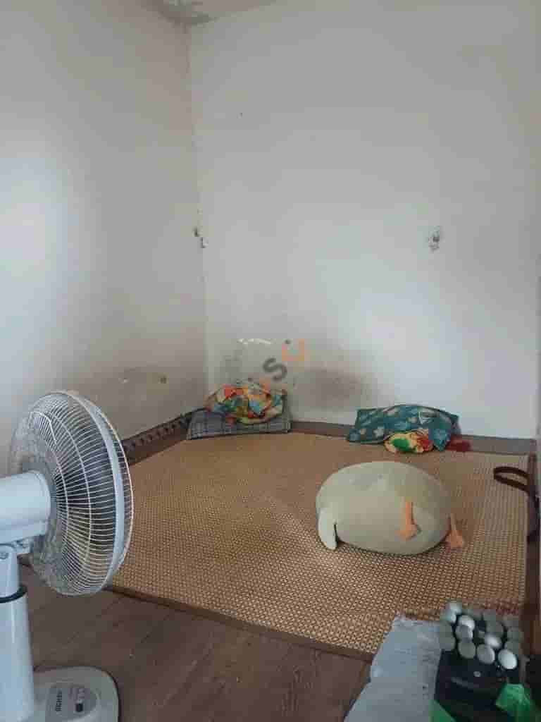Image Image