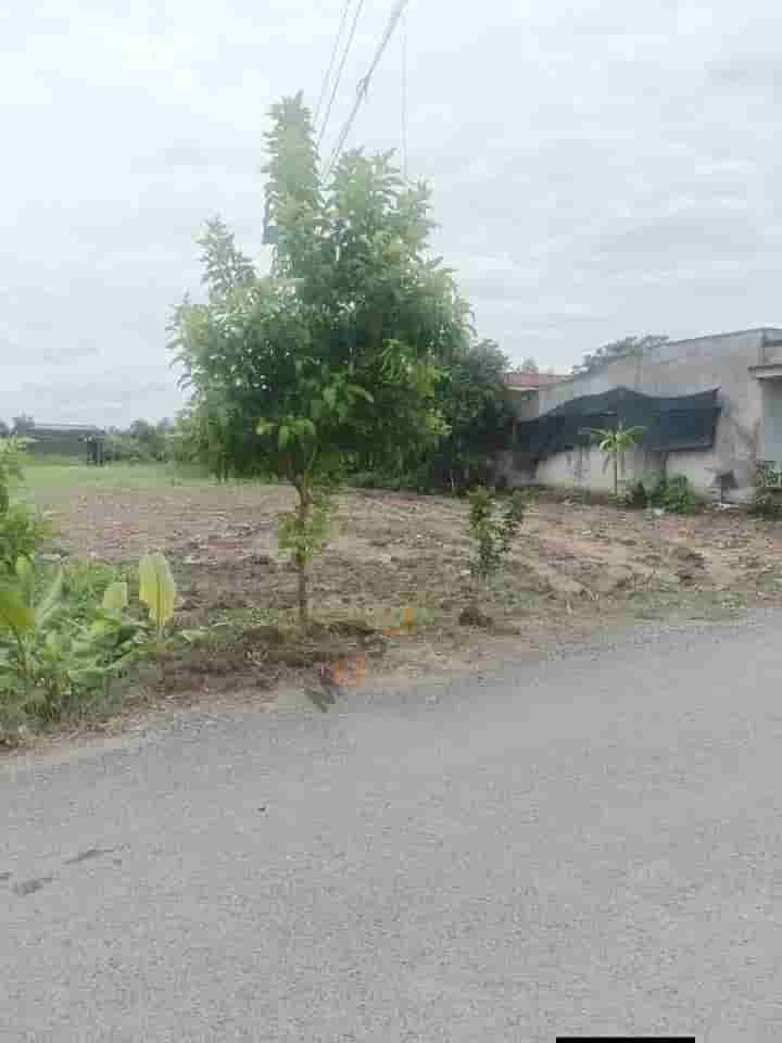 Image Image