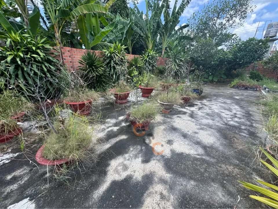 Bán đất hẻm đường Điện Biên Phủ, Khu phố Ninh Tân Thành phố Tây Ninh, Tây Ninh – giá 1.3 tỷ — Hình 3 Bán đất hẻm đường Điện Biên Phủ, Khu phố Ninh Tân Thành phố Tây Ninh, Tây Ninh – giá 1.3 tỷ — Hình 3