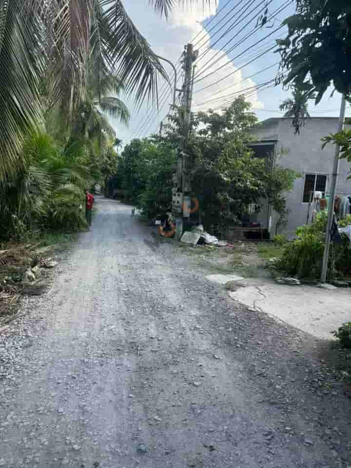 Image Image