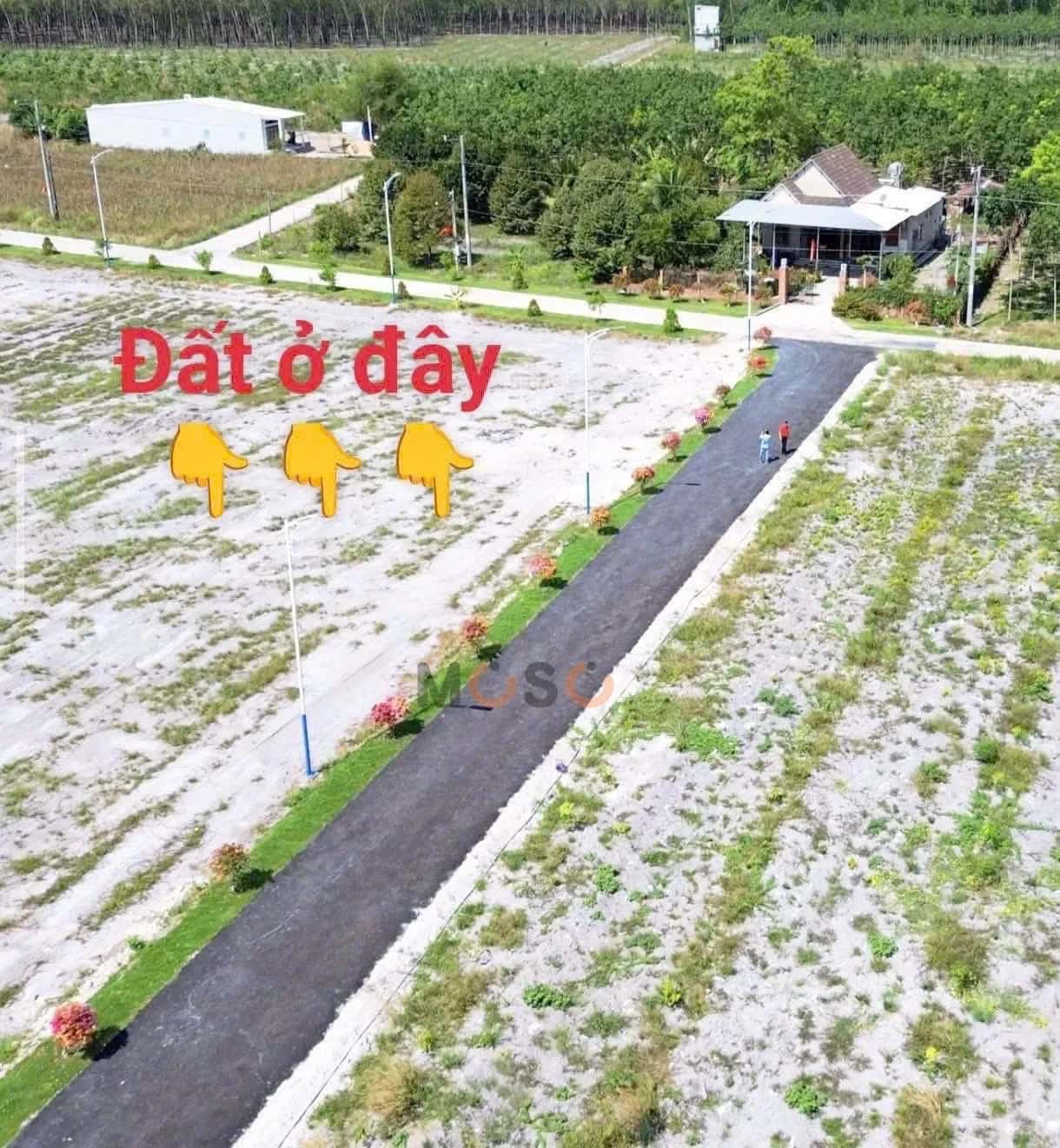 Bán đất 13 Thị xã Chơn Thành, Bình Phước – giá 400 triệu — Hình 2 Bán đất 13 Thị xã Chơn Thành, Bình Phước – giá 400 triệu — Hình 2