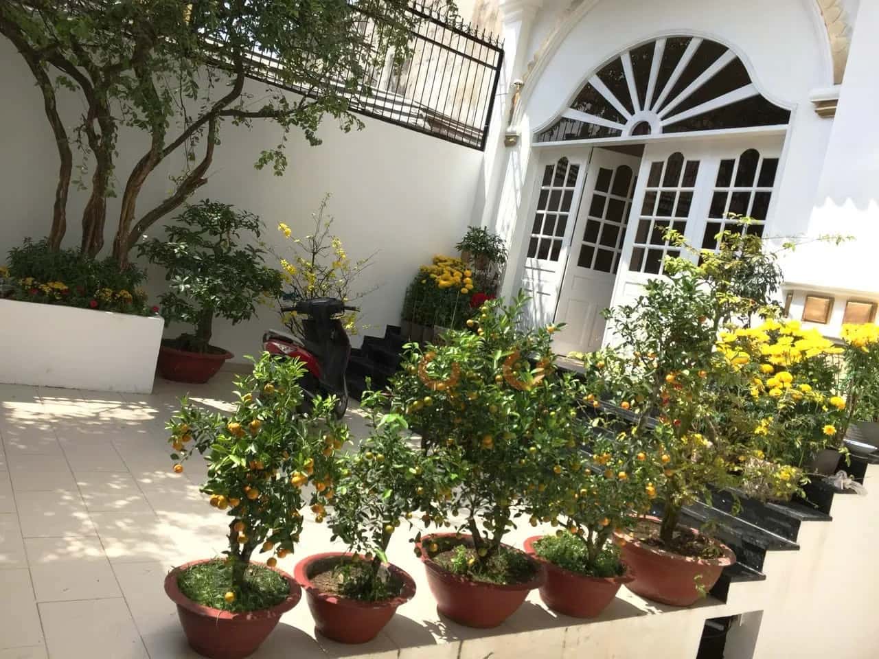 Bán nhà hẻm Quách Văn Tuấn Quận Tân Bình, TP.HCM – 6 phòng ngủ, giá 72 tỷ — Hình 3 Bán nhà hẻm Quách Văn Tuấn Quận Tân Bình, TP.HCM – 6 phòng ngủ, giá 72 tỷ — Hình 3