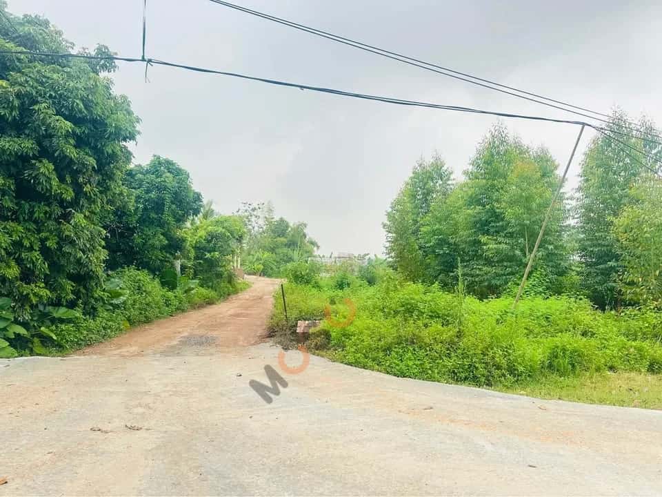 Bán đất hẻm ĐT 315 Huyện Tam Nông, Phú Thọ – giá 380 triệu — Hình 3 Bán đất hẻm ĐT 315 Huyện Tam Nông, Phú Thọ – giá 380 triệu — Hình 3
