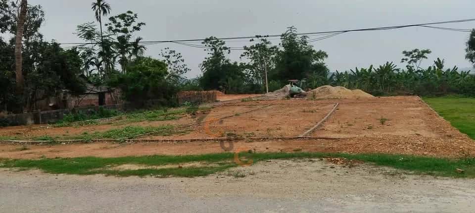 Bán đất hẻm ĐT 315 Huyện Tam Nông, Phú Thọ – giá 380 triệu — Hình 2 Bán đất hẻm ĐT 315 Huyện Tam Nông, Phú Thọ – giá 380 triệu — Hình 2