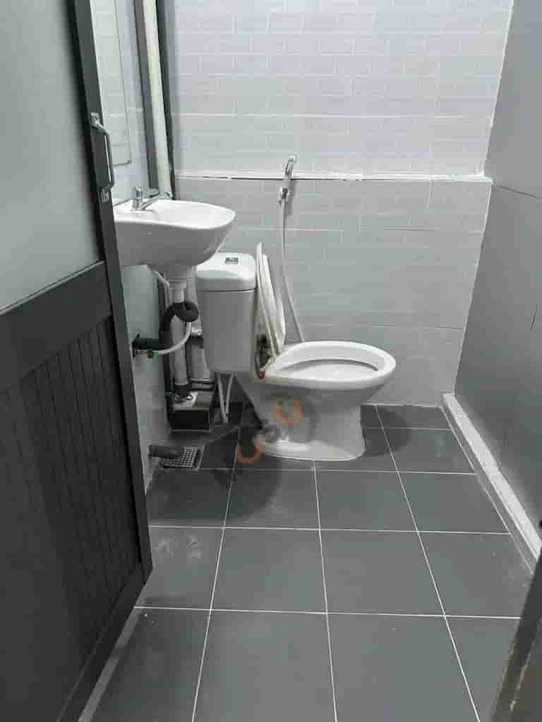 Image Image