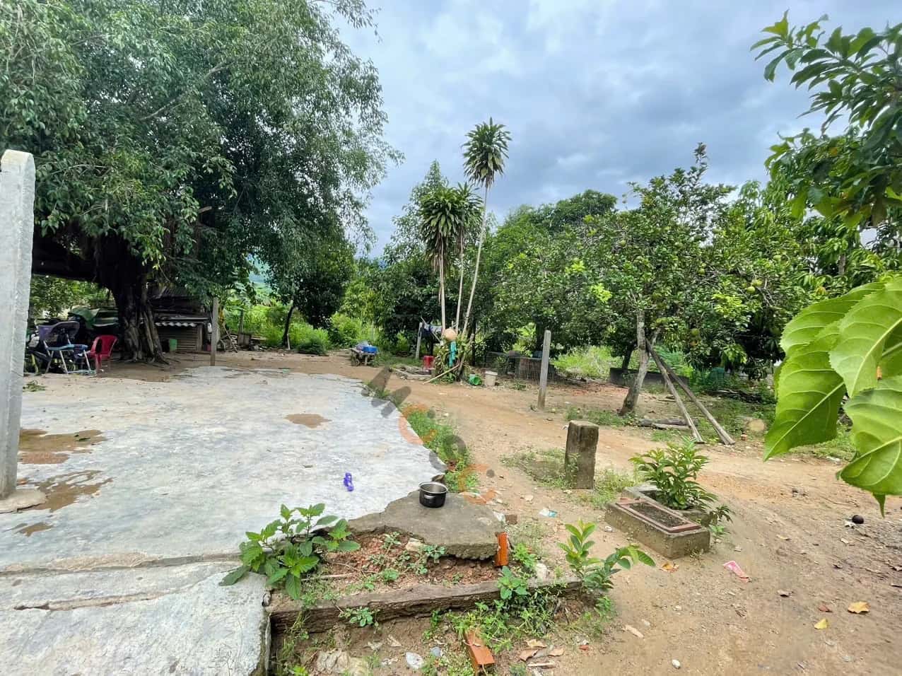 Bán đất Thôn Suối Cát Huyện Khánh Vĩnh, Khánh Hòa – giá 380 triệu — Hình 2 Bán đất Thôn Suối Cát Huyện Khánh Vĩnh, Khánh Hòa – giá 380 triệu — Hình 2