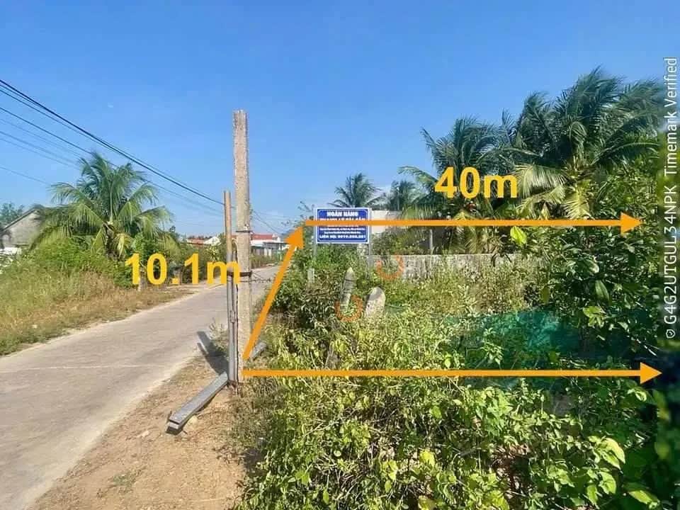 Bán đất Quốc lộ 1A Thị xã Ninh Hòa, Khánh Hòa – giá 1.2 tỷ Bán đất Quốc lộ 1A Thị xã Ninh Hòa, Khánh Hòa – giá 1.2 tỷ