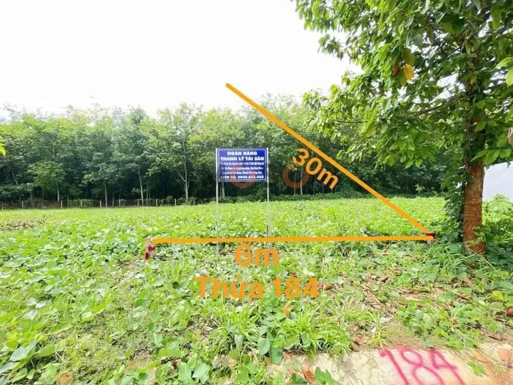 Bán đất Huyện Hớn Quản, Bình Phước – giá 662 triệu Bán đất Huyện Hớn Quản, Bình Phước – giá 662 triệu