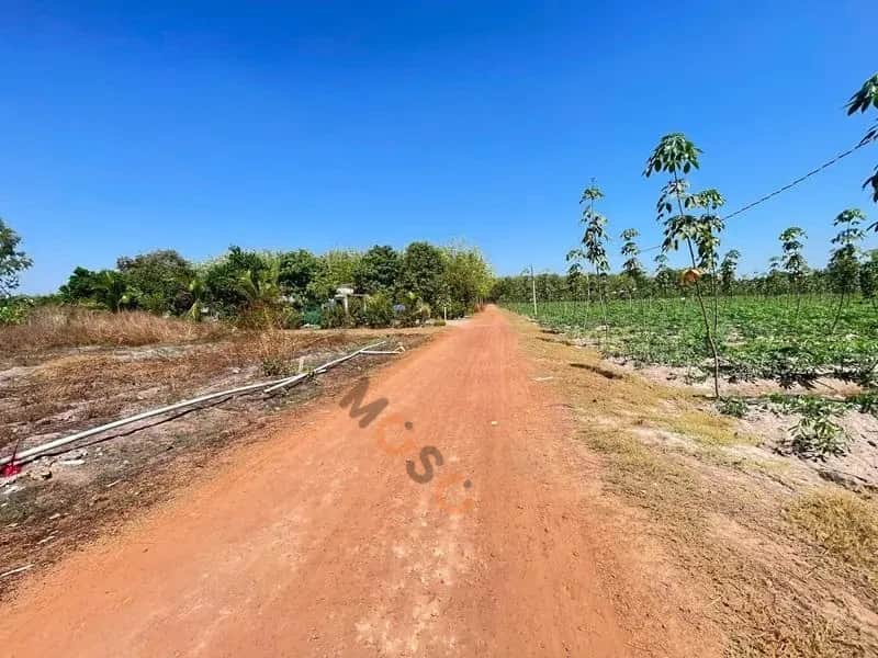 Bán đất Suối Dây Huyện Tân Châu, Tây Ninh – giá 139.8 triệu Bán đất Suối Dây Huyện Tân Châu, Tây Ninh – giá 139.8 triệu