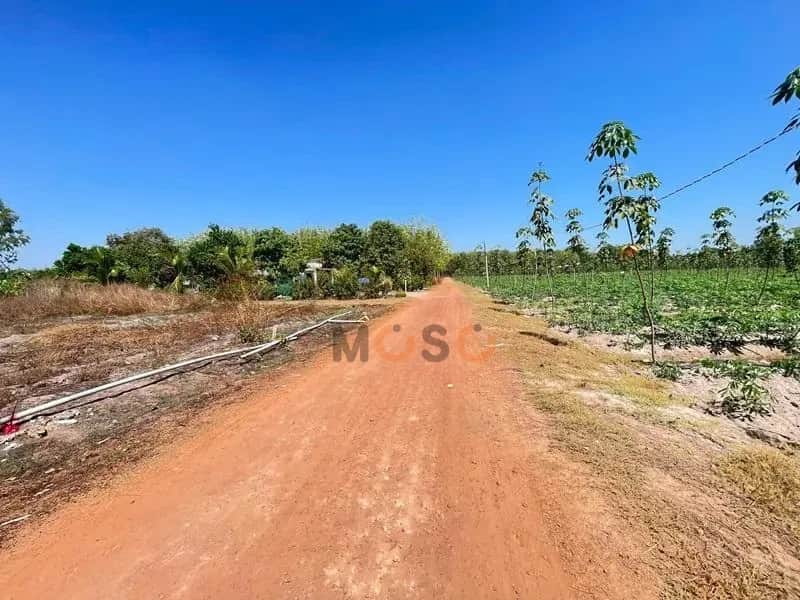 Bán đất Huyện Tân Châu, Tây Ninh – giá 139.8 triệu Bán đất Huyện Tân Châu, Tây Ninh – giá 139.8 triệu