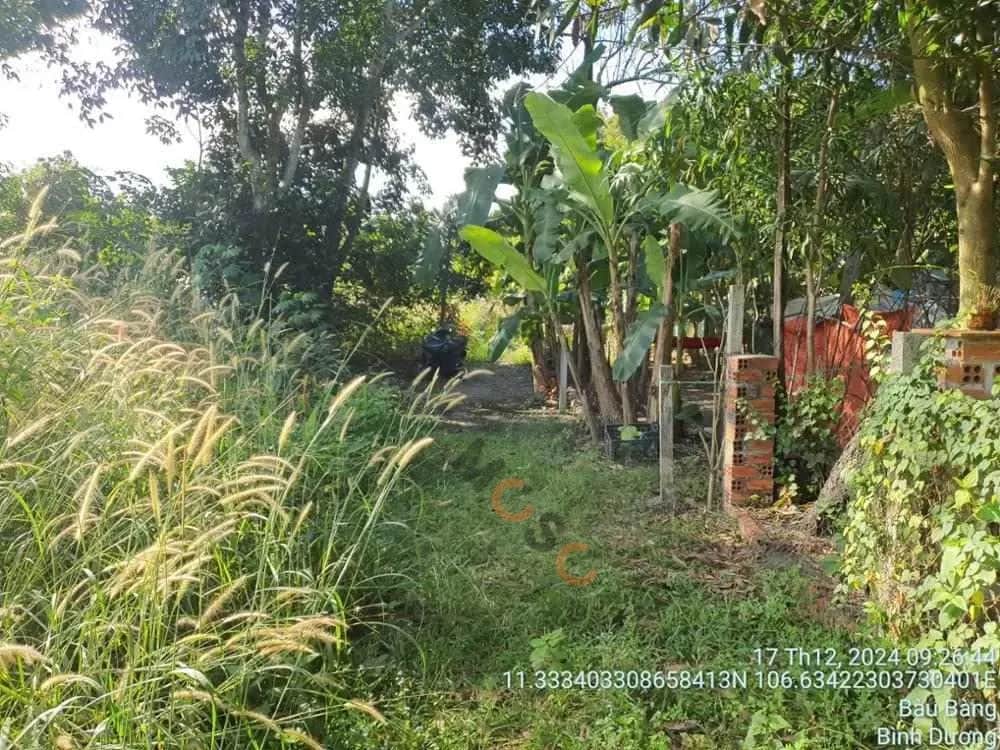 Bán đất Đường Lai Uyên Huyện Bàu Bàng, Bình Dương – giá 1.2 tỷ Bán đất Đường Lai Uyên Huyện Bàu Bàng, Bình Dương – giá 1.2 tỷ