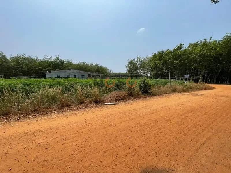 Bán đất Thạnh Lộc Huyện Tân Biên, Tây Ninh – giá 133.4 triệu Bán đất Thạnh Lộc Huyện Tân Biên, Tây Ninh – giá 133.4 triệu
