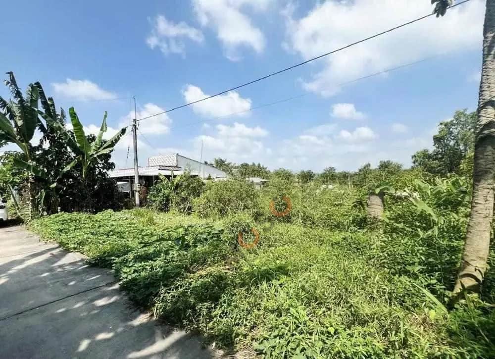 Bán đất Huyện Trà Ôn, Vĩnh Long – giá 784 triệu Bán đất Huyện Trà Ôn, Vĩnh Long – giá 784 triệu