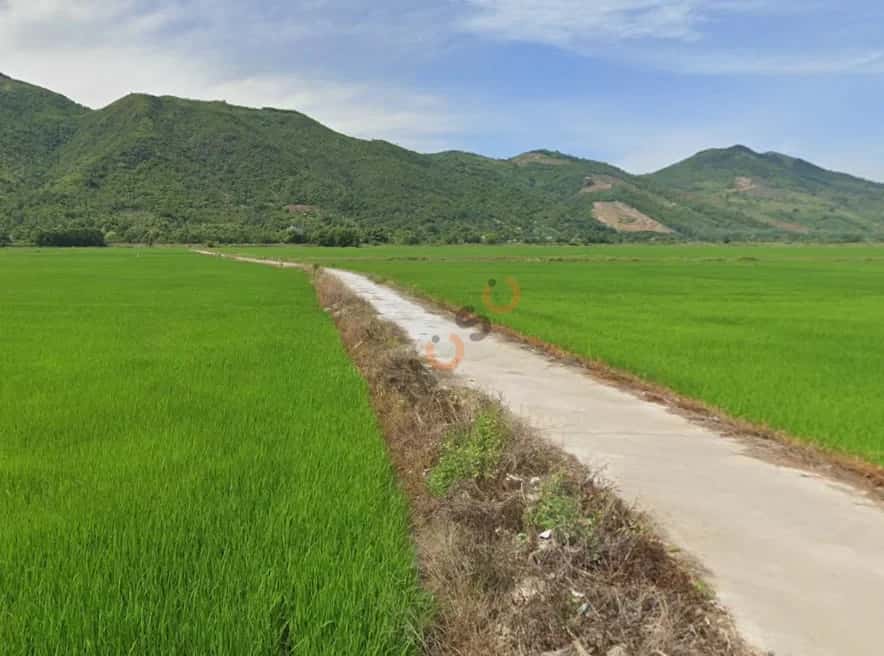 Bán đất hẻm đường Quốc Lộ 1A Huyện Diên Khánh, Khánh Hòa – giá 440 triệu — Hình 3 Bán đất hẻm đường Quốc Lộ 1A Huyện Diên Khánh, Khánh Hòa – giá 440 triệu — Hình 3