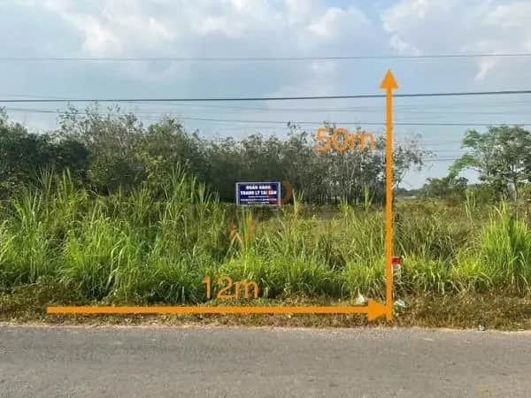 Bán đất Thành Long Huyện Châu Thành, Tây Ninh – giá 702 triệu Bán đất Thành Long Huyện Châu Thành, Tây Ninh – giá 702 triệu
