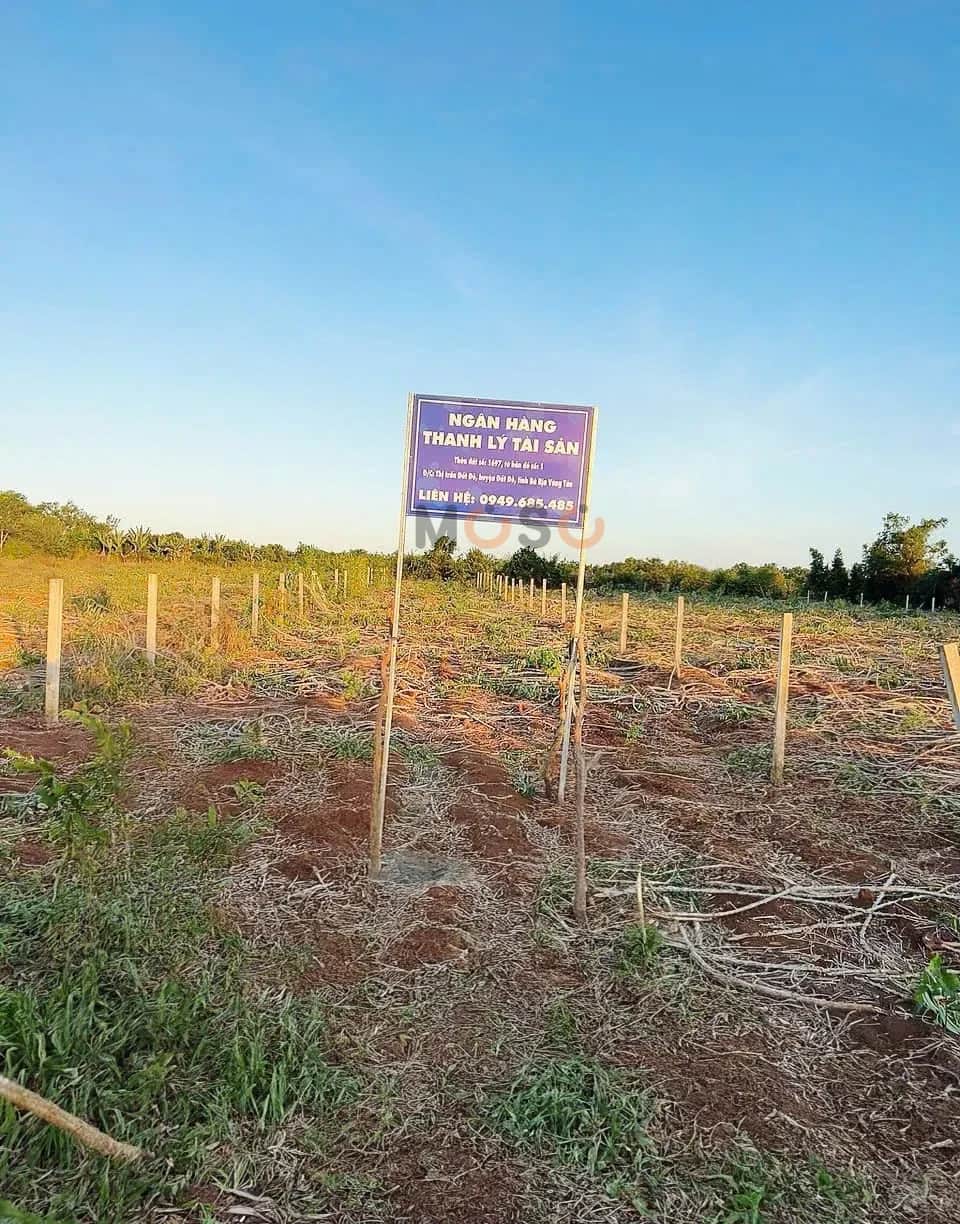 Bán đất Phạm Duy Trinh Đất Đỏ, BRVT – giá 1 tỷ Bán đất Phạm Duy Trinh Đất Đỏ, BRVT – giá 1 tỷ