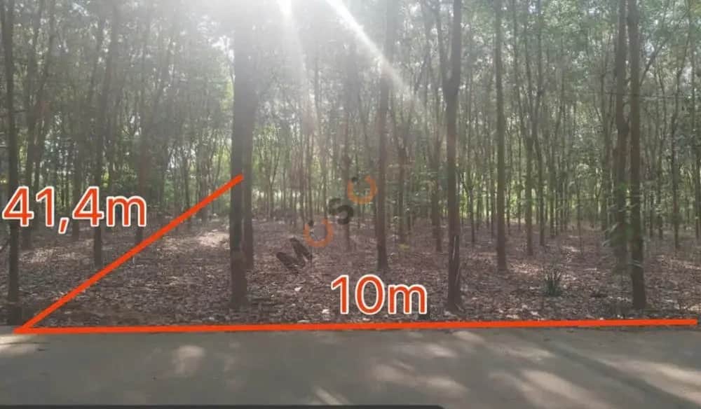 Bán đất Đh 501 Huyện Phú Giáo, Bình Dương – giá 1.2 tỷ Bán đất Đh 501 Huyện Phú Giáo, Bình Dương – giá 1.2 tỷ